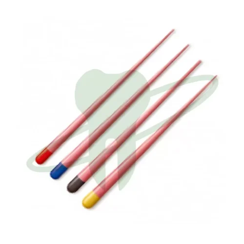 Conos de Gutapercha - Protaper Next (Variedades) Dentsply Sirona